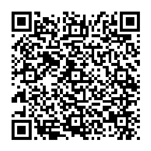 一份内容与前一份一致但为期却从两年改成了一年的新合同很快就被白色月牙打印了出来二维码生成