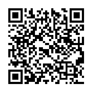 一伸手便化作了一条巨大的蛇头朝着儿子撕咬而去二维码生成