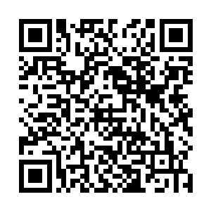 一位不信邪的美国考古学家不顾亚曼拉公主的恐怖传闻二维码生成