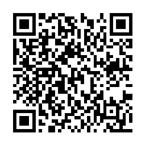 一位又一位域主在空间错乱的攻袭下化作碎肉残肢二维码生成