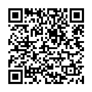 一位域主便可随时得知自己麾下领主们领地的情况二维码生成