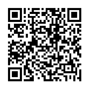 一位武术名家在动手前问他为什么杀死自己的恩师二维码生成