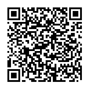 一位相当于五劫尊者实力的饿鬼王在这火海之下竟然没有一丝的抵抗之力二维码生成