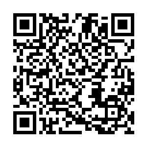 一位身穿刑殿翰林服的中年人左手托着金色的刑殿官印二维码生成