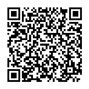 一刀刀割碎了……王者金身在杀死剑无常时爆发了至少六重异象的力量二维码生成