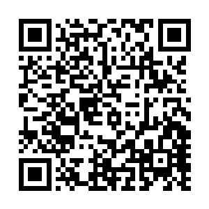 一切还都听从上峰的安排呀……不过既然世外高人如此信赖二维码生成