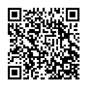 一切都要等他们的族长带着家族修士到来才能够做出决定二维码生成