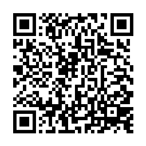 一副惊心动魄的宫廷之谜就在林封谨的面前展现了开来二维码生成