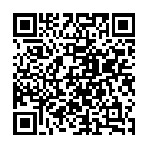 一副老师您教的不好让我的智商不能与分数匹配的表情二维码生成