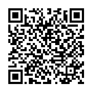一双手臂也是仿佛大风车一般讲荒兽的身体在空中抡了起来二维码生成