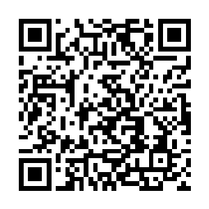 一双清澈的眼眸一瞬不瞬的打量着炎司绝完美的面孔二维码生成
