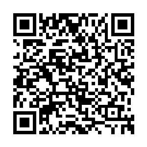 一双红灯笼的眼睛怒视着大白凤小熊萧韵儿他们二维码生成