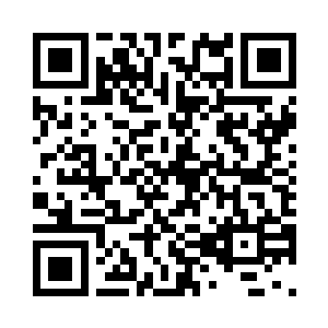 一双美丽至极的凤翼在火中翻飞舞动二维码生成