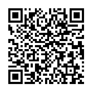 一口将剑尘的身躯叼在了嘴里朝着胸口的部位狠狠的咬了下去二维码生成