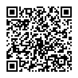 一只修为至少化神境以上的鹰妖撑开翅膀朝浮空舰飞速滑翔了过来二维码生成