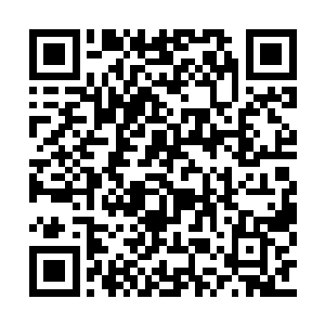 一只小巧的黑色的小兽正在林烽先前所在的位置二维码生成