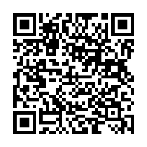 一只巨大的手掌便是突兀的在云家外堂大殿的上方出现二维码生成