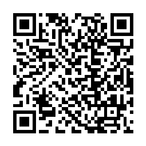 一只手以很缓慢又或者说很从容的方式的随意抬起二维码生成