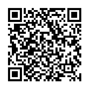 一只皮毛油滑的花猫正在柜台上一杯一杯地扒拉啤酒二维码生成