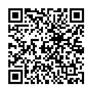 一只血蜘蛛张开了嘴巴嘴巴在我的脚上狠狠的咬了一口二维码生成