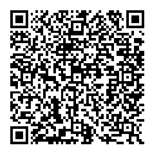 一只鸟身上始终弥漫的是草木清香……怪不得……这些年我的修炼进境远超寻常修者……怪不得……我养了这只鸟几千年二维码生成