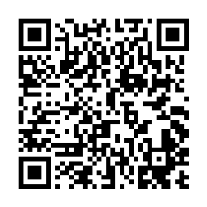 一叶潇湘跟鬼剑愁还有连城小熊一时间也没打算游走二维码生成