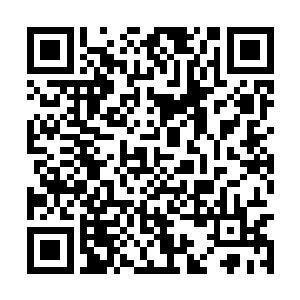 一名世俗界的小子怎么可能看得到我们影月的基地二维码生成