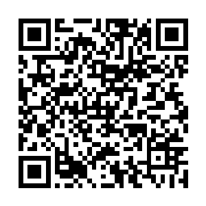 一名坐在最前排黑气缭绕的壮汉嚣张的站起身喊到二维码生成