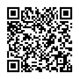 一名混元境九重天的陨落给和风家族造成了极大的打击二维码生成