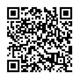 一味的深陷回忆无法自拔只会消磨掉你的所有斗志二维码生成