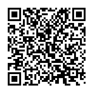 一回到了独木舟贝海这边就看到大雕和小雕又在自己的船上吃东西了二维码生成