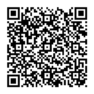 一国之君还能容得下一个歼妃的儿子在身边时时刻刻提醒着自己绿云压顶的耻辱吗二维码生成