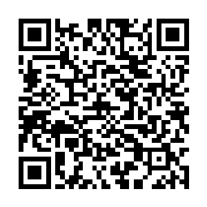 一场崭新的比赛顿时便出现在了主舞台的大屏幕上二维码生成