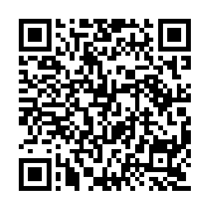 一块上等玻璃种翡翠迎着阳光散发出柔和的光芒二维码生成