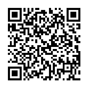 一堆的专业宝物词汇和启动的方法都出现在了我头脑中二维码生成