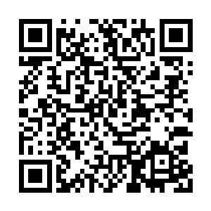 一声仿佛能够传遍整个暗星界的狼啸声骤然传出二维码生成