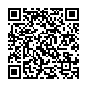 一声枪响便忽然从那琉璃菩提树燃烧所化的火焰传送门中响起二维码生成