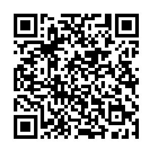 一头碧色暗淡干枯的头发瞬间暴涨变为血色铺满一地二维码生成