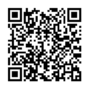 一定是团长他们希望他能够把南十字兵团薪火传承下去二维码生成