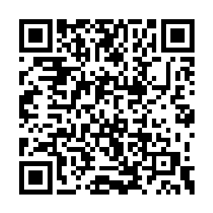 一定是我在登机的时候无意之中看见过他们的脸二维码生成