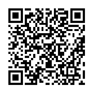 一对利爪狠狠在那个段师妹的胳膊上划开两道深深的血痕二维码生成