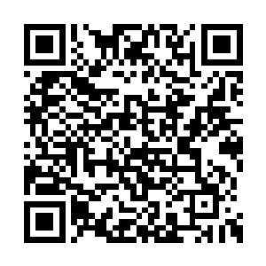 一对文质彬彬的小情侣也受歌曲和现场状况激染二维码生成