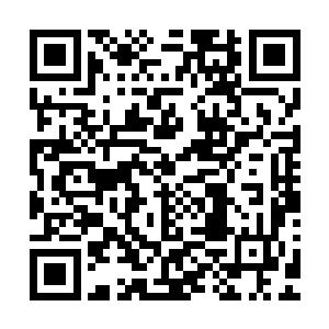 一幕幕生动的画面像是一幅画卷淋漓尽致地展现在了众人眼前二维码生成