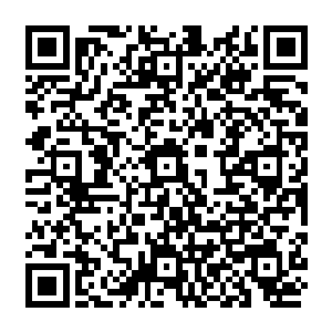 一干人都是心急如焚的站在山坳拐角处等待着已经垂下去的几条绳子那一端传来消息二维码生成