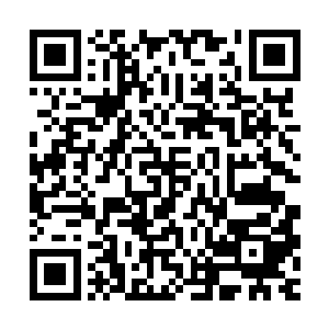 一干通天教家族和势力苦心孤诣在太夏农业和粮种领域布局经营二维码生成