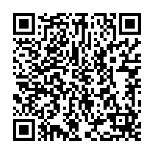 一年一度的世界博览比赛早已成了灯塔基地之间攀比的重要项目之一二维码生成