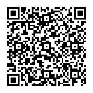 一度要证明苏落将楚妃塞到他怀里的二皇子……在看到水晶记忆果实里播放出来的画面时二维码生成