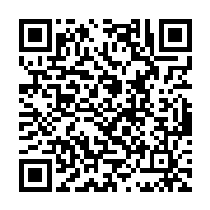 一座一眼看不到顶的苍翠山峰清晰的出现在众人面前二维码生成