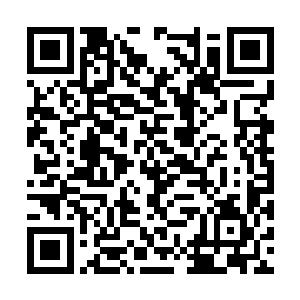 一座令人叹为观止的园林便是出现在了小世界当中二维码生成