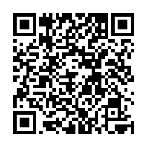 一座完全是由白玉堆砌而成的宫殿出现在了叶然的眼前二维码生成